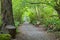 Park bench along a foot trail