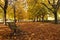 Park Bench In Autumn