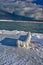 Park Bench Coated In Thick Ice In Meaford, Ontario, Canada