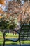 Park Bench with Fall Foliage