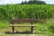 Park bench in front of a corn field