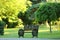 Park bench with green nature background