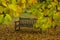 Park bench hidden behind autumn leaves