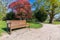 Park bench in idyllic park in spring