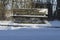 Park Bench in little Snow