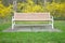 Park Bench in Spring With Yellow Flowers