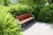 Park bench surrounded by green shrubs