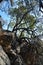 Park bench under tree Walter Sisulu Botanical Gardens