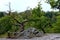 Park bench in Valley of River Bode