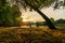 Park benches along the Thames at sunrise