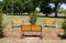 Park Benches in a Grassy Field on a Sunny Day