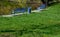 Park benches in light blue made of metal strips similar to a lattice. trash can and beautiful lawn with park paths of gravel thres