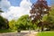 Park with blue sky sunny in the Netherlands: Noorderplantsoen Groningen