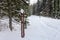 A park boundary signpost along a wintery hiking path in the snowy forests of Mount Fernie Provincial Park