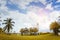 The park bridge garden palm outdoor summer style and blue sky ba