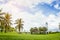 The park bridge garden palm outdoor summer style and blue sky ba