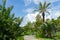 Park with a bridge and palm trees in Kemer