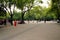 Park of Chapultepec, Mexico city.