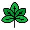 Park chetnut leaf icon color outline vector