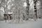 Park in city center in winter, Swieradow Zdroj resort in winter, Jizera Mountains, Poland