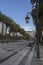 Park in the city with high palm trees, in the foreground a lantern