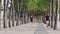 Park covered with trees and people exercising there, Parque das Nacoes in Lisbon, Portugal