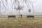 Park from Detelinara settlement in Novi Sad covered with fog