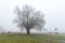 Park from Detelinara settlement in Novi Sad covered with fog