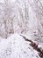 Park, edge of snowy forest.