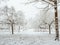 Park, edge of snowy forest.