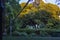 Park at the end of the day with empty chairs and jacaranda tree