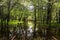 The park at the entrance to Chenonceau castle. Park is flooded after the heavy raining