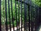 Park fence made of black tubes.