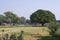 Park in Feroz Shah Kotla, New Delhi