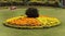 Park flower bed