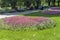 Park with flowers at the center of town of Silistra, Bulgaria