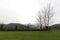 The park of the fortress of Mont`Alfonso with the snow-capped Apuan Alps in the background, in Castelnuovo di Garfagnana, Tuscany