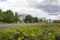 Park in front of the Federal Chancellery of Germany