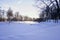 park garden sunlight snow winter nature forest tree branch sky outdoors