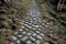 Park gravel path on a slope paved with strips of granite cubes undergoing erosion. the gaps were overgrown with grass and weeds. T