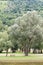 Park in GÃ©nos-Loudenvielle in El Valle de Louron France