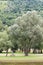 Park in GÃ©nos-Loudenvielle in El Valle de Louron France