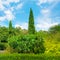 Park,hedge, green meadow and blue sky.