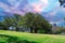 Park on a Hill overlooking Sydney Harbour, Sydney CBD, the Rocks and Darling Harbour. Lush green trees NSW Australia