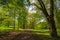 Park of Konopiste castle at springtime, Benesov, Czech republic