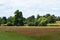Park & Lake - Petworth House, West Sussex, England