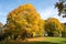 Park landscape with beatiful trees in autumnal colors, Westpark Munich