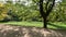 Park landscape on the Danube near Regensburg in autumn with sunshine