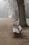 Park landscape in Leipzig in winter with frosty foggy weather