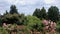 Park landscape with rose bushes bloom